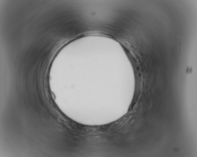 X0000095520289200801111442