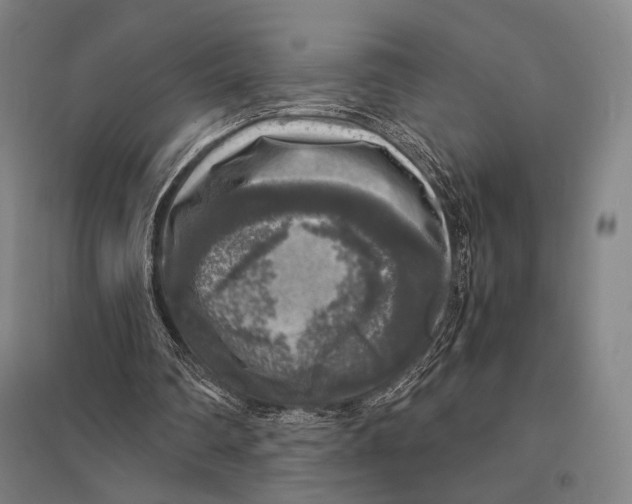 X0000095520290200801111442
