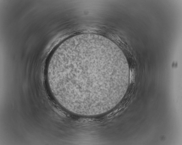 X0000095520291200801111442