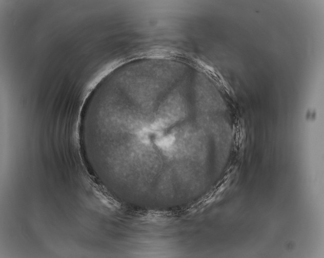 X0000095520292200801111442