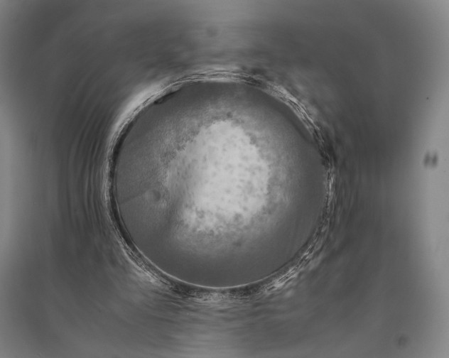 X0000095520293200801111442