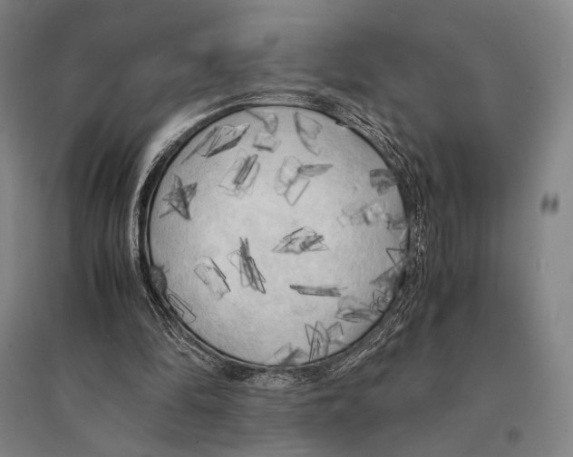 X0000095520294200801111442