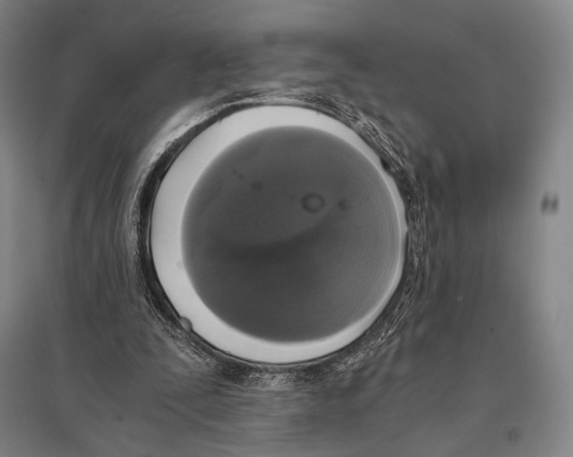 X0000095520295200801111442