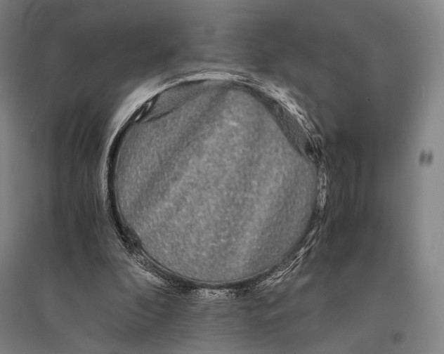 X0000095520296200801111442