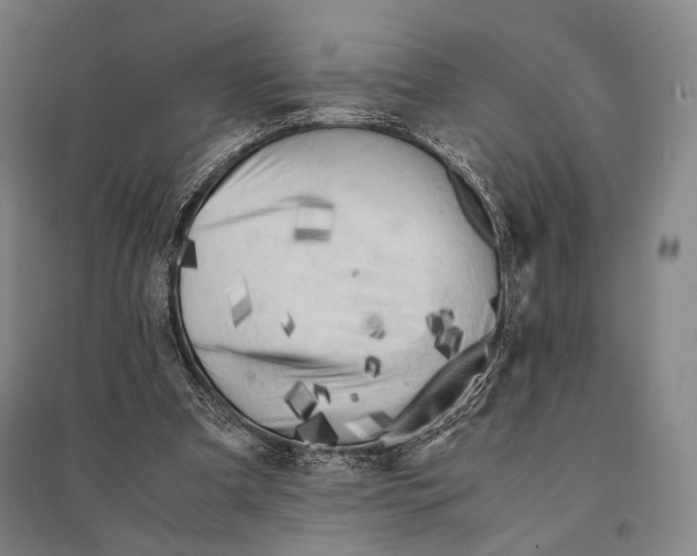 X0000095520297200801111442