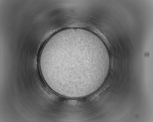 X0000095520298200801111442