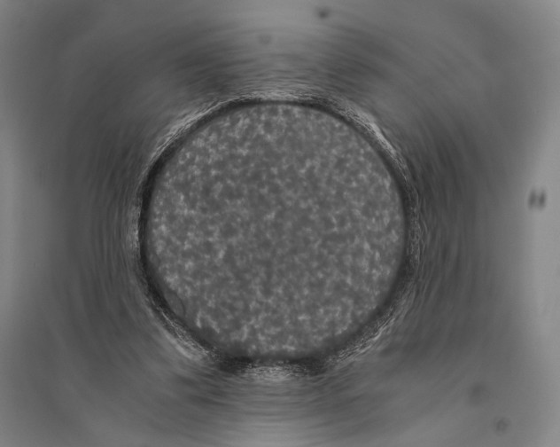X0000095520299200801111442
