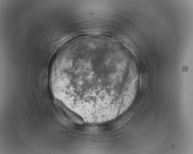 X0000095520301200801111442