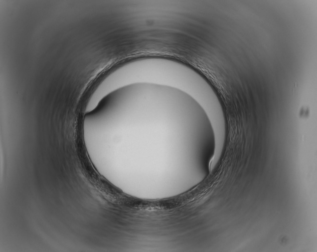 X0000095520304200801111442