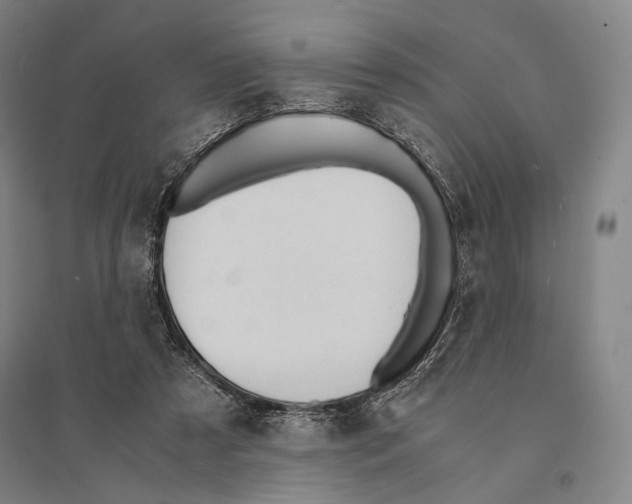 X0000095520305200801111442