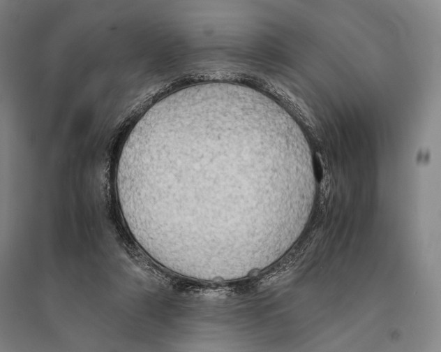 X0000095520306200801111442