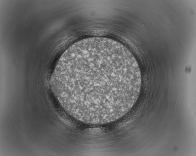 X0000095520307200801111442