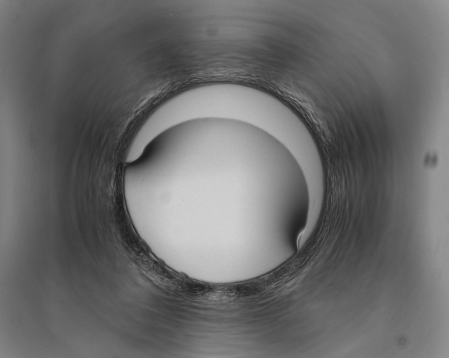 X0000095520308200801111442