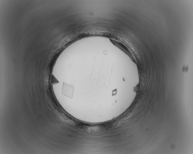 X0000095520309200801111442