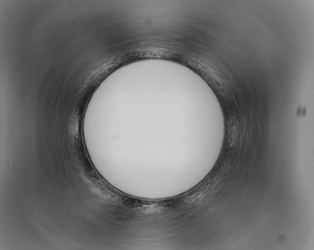 X0000095520310200801111442