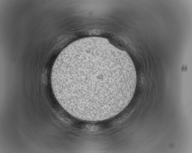 X0000095520311200801111442