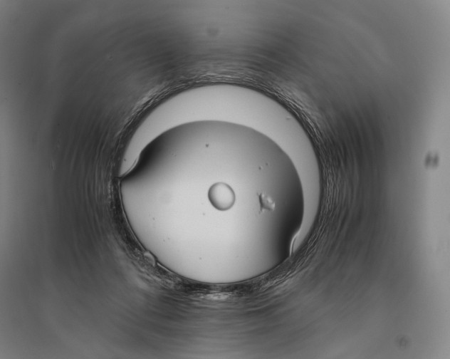 X0000095520312200801111442
