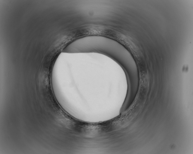 X0000095520313200801111442