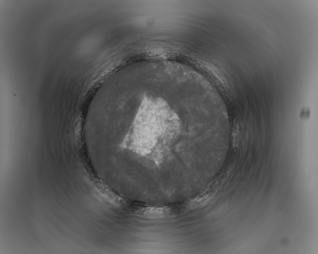 X0000095520314200801111442