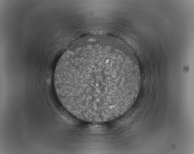 X0000095520315200801111442