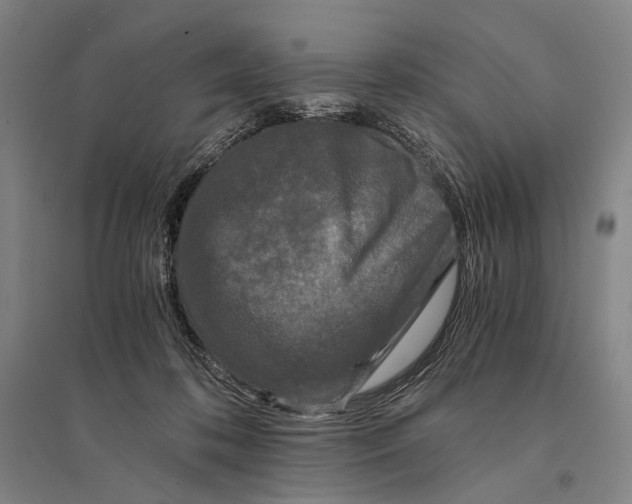 X0000095520316200801111442