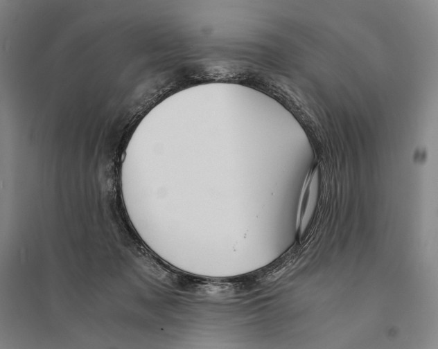 X0000095520317200801111442