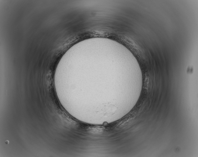 X0000095520318200801111442