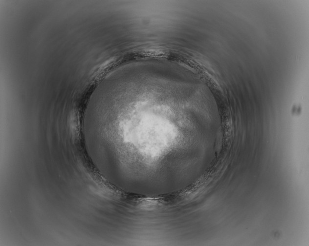 X0000095520320200801111442