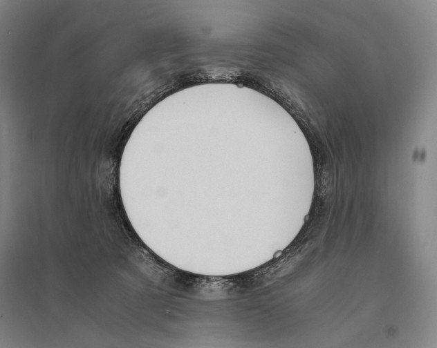 X0000095520321200801111442