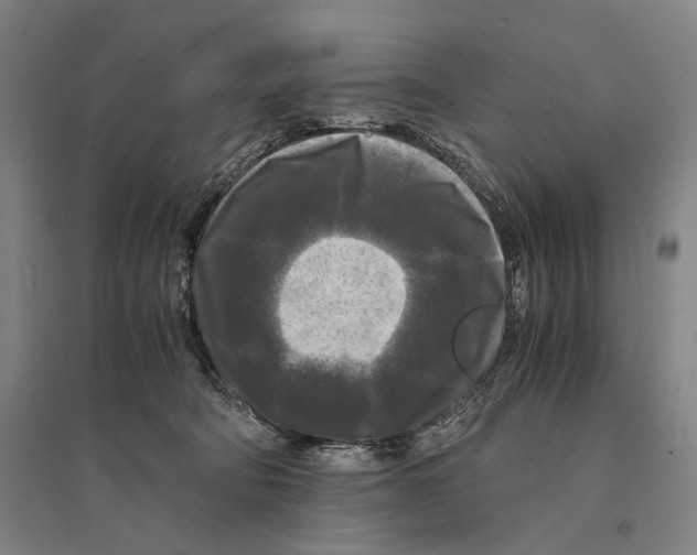 X0000095520322200801111442