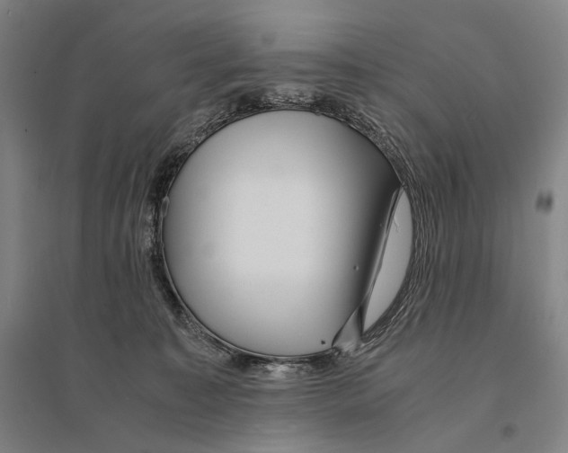 X0000095520323200801111442