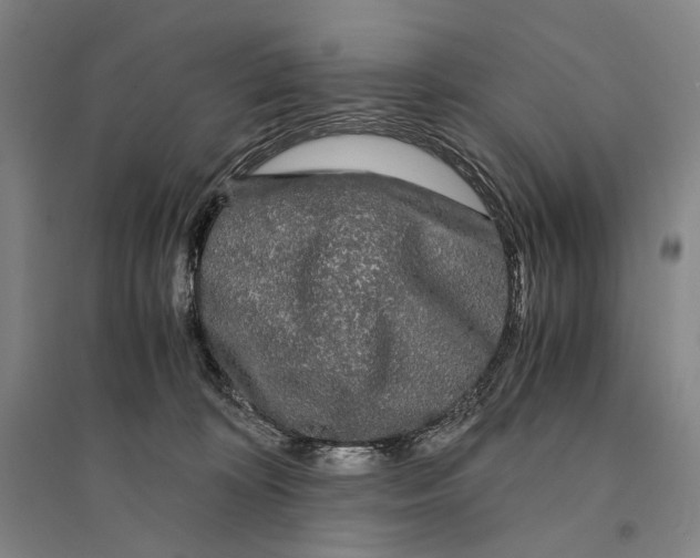 X0000095520324200801111442