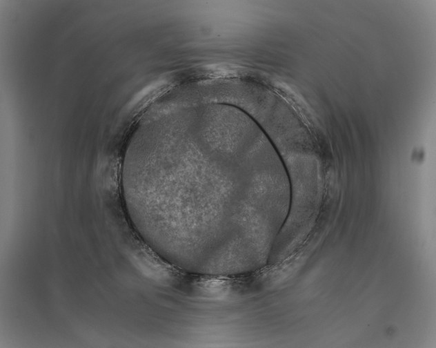 X0000095520325200801111442