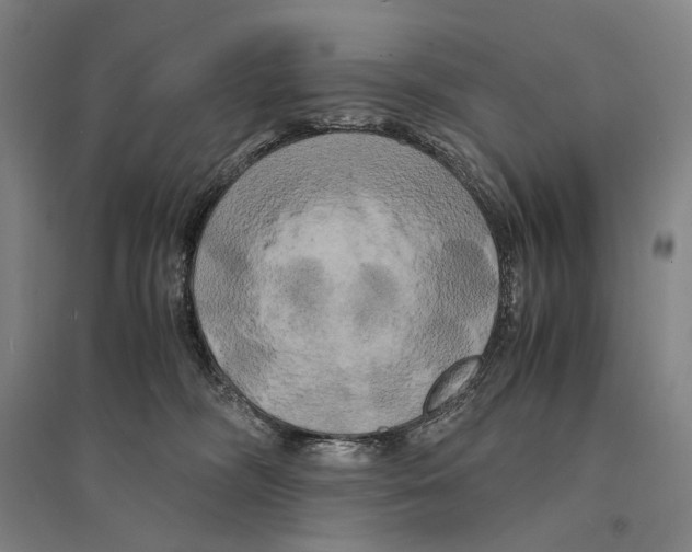 X0000095520326200801111442