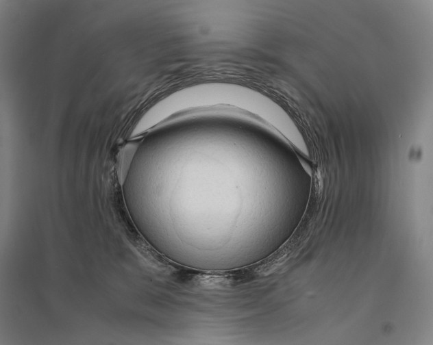 X0000095520327200801111442