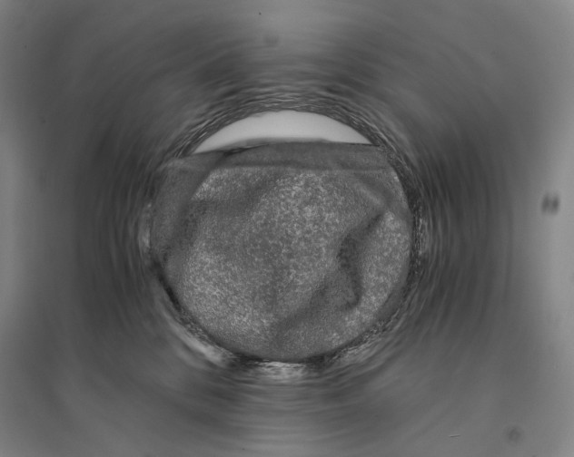 X0000095520328200801111442