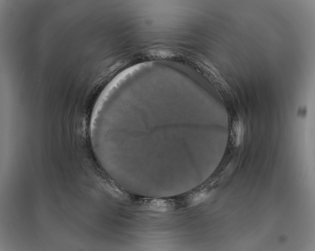 X0000095520330200801111442