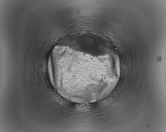 X0000095520331200801111442