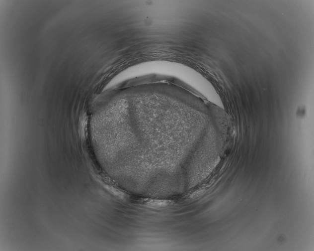 X0000095520332200801111442