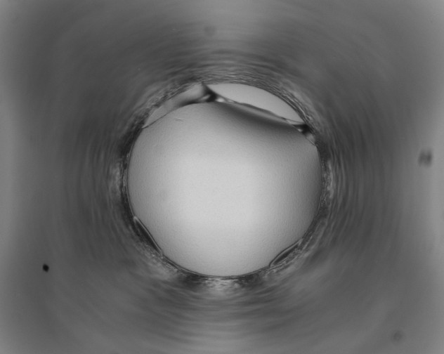 X0000095520333200801111442