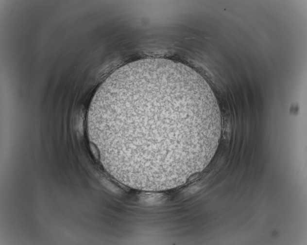 X0000095520334200801111442