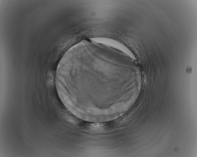 X0000095520335200801111442