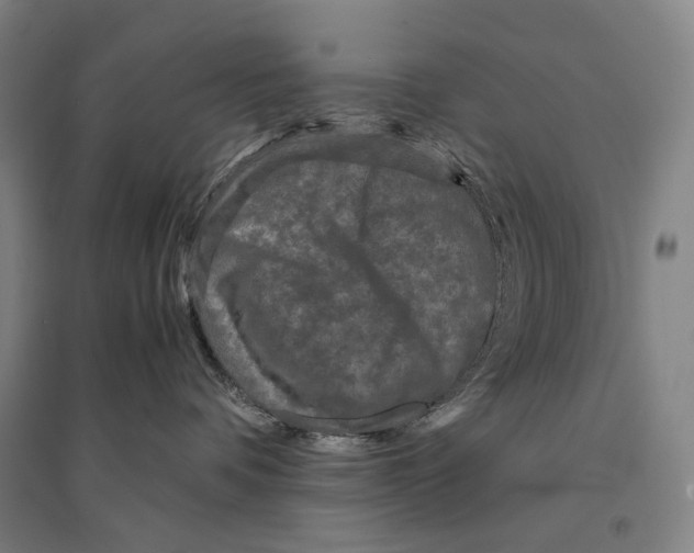 X0000095520336200801111442