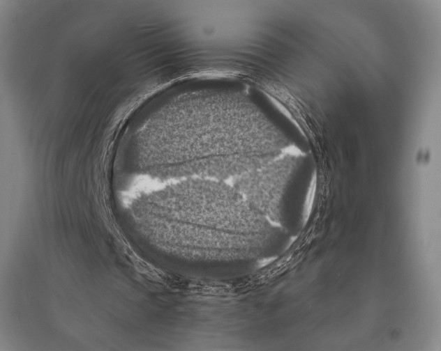 X0000095520337200801111441