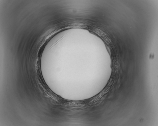 X0000095520338200801111441