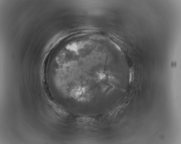 X0000095520339200801111441