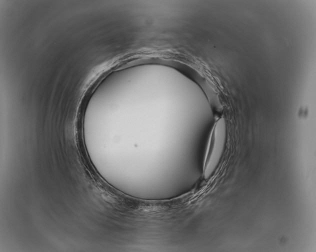 X0000095520340200801111441