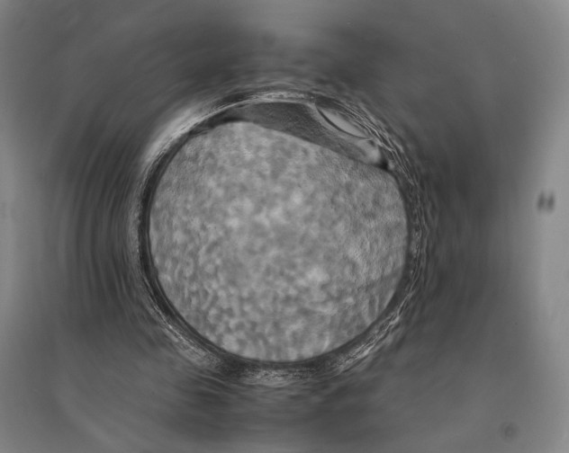 X0000095520341200801111441