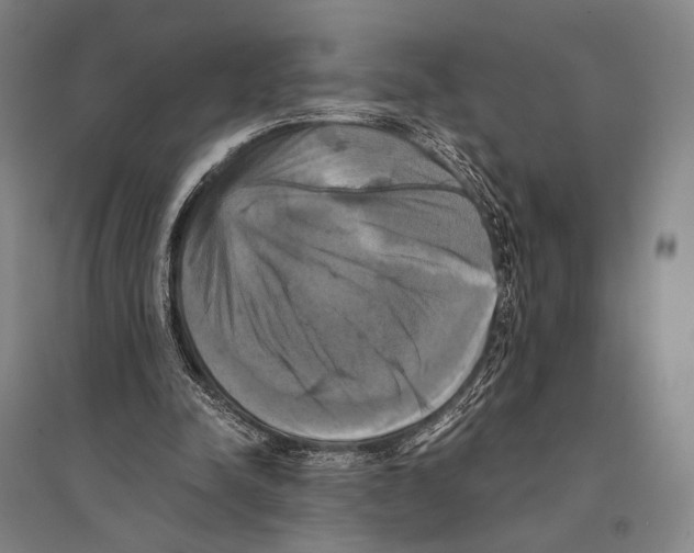 X0000095520342200801111441