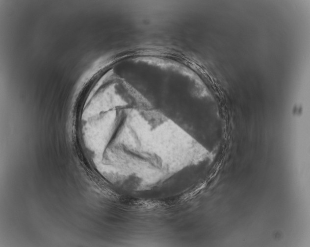 X0000095520343200801111441